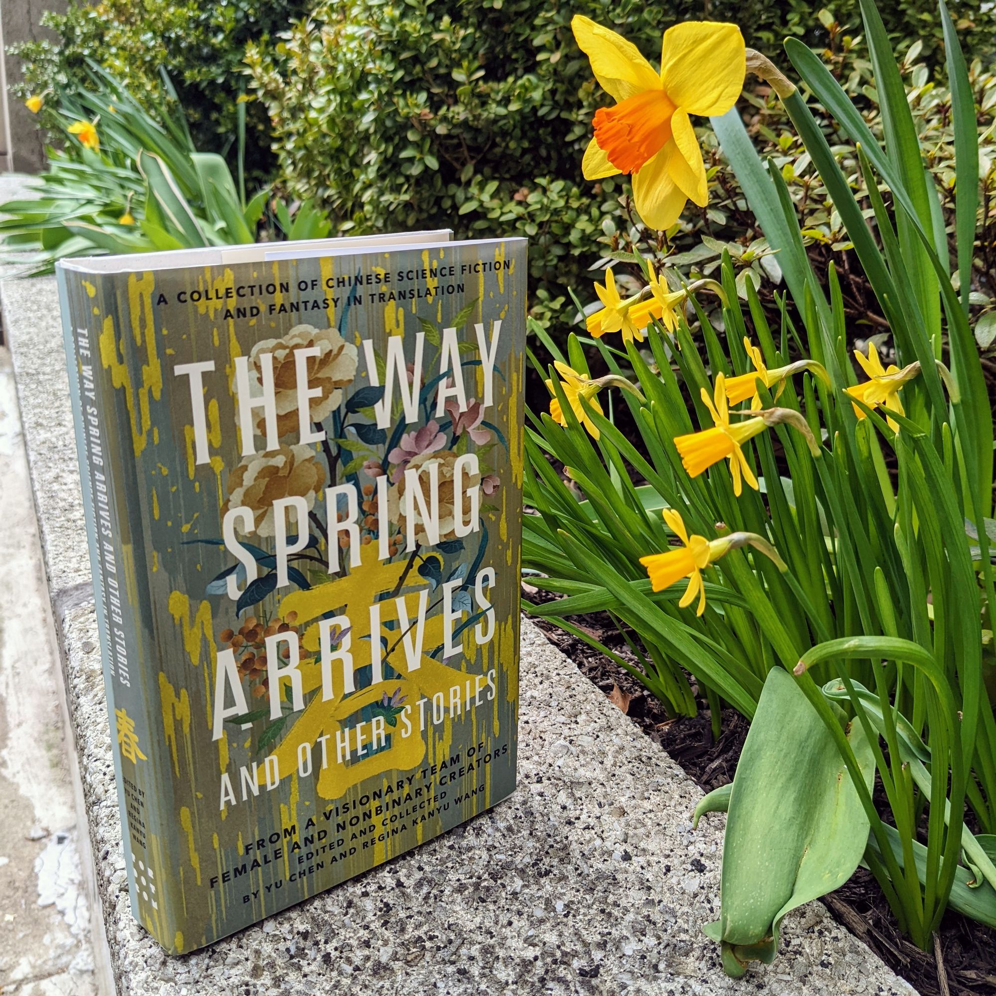 a hardcover copy of THE WAY SPRING ARRIVES AND OTHER STORIES positioned next to a planter full of daffodils, positioned in such a way that it looks like the flowers are reading the front cover 